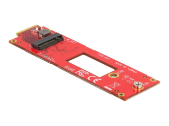Delock Speicher-Controller - M.2 - 1 SenderKanal