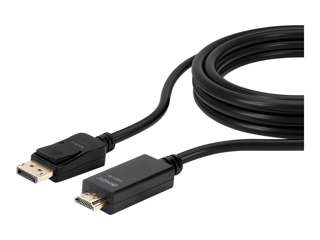 Lindy Adapterkabel - DisplayPort männlich zu