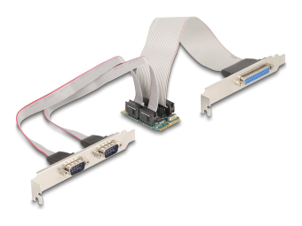 Delock Adapter ParallelSeriell - PCIe 1.2 Full Mini Card Low-Profile