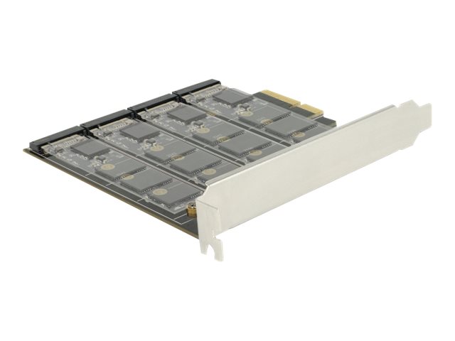 Delock Speichercontroller (RAID) - 4 SenderKanal
