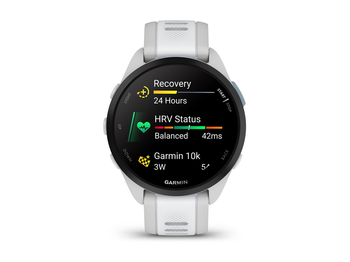 Garmin Forerunner 165 - Nebelgrau - Sportuhr mit Band - Silikon - Whitestone - Handgelenkgröße 126-203 mm - Anzeige 3 cm (1.2")