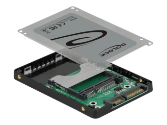 Delock Kartenleser - 64 cm (25 Zoll) (CFast Card Typ I CFast Card Typ II)