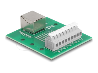 Delock Netzwerkadapter - RJ-45 (W) zu 9-poliger Anschlussblock