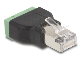 Delock Netzwerkadapter - RJ-45 (M) zu 4-poliger Anschlussblock (W)