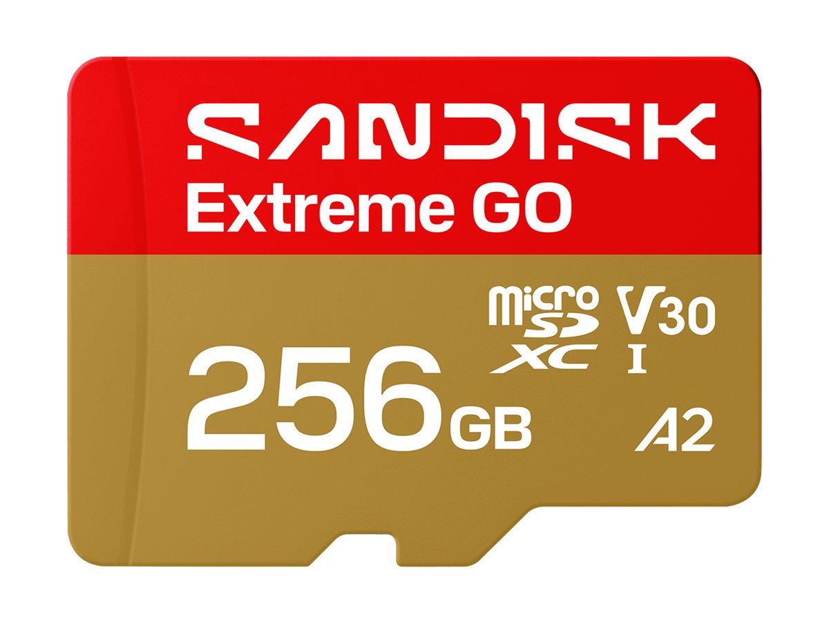 SanDisk Extreme Go - Flash-Speicherkarte - 256