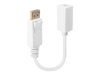 Lindy DisplayPort-Adapter - DisplayPort (M)