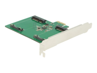 Delock Speicher-Controller - 2 SenderKanal
