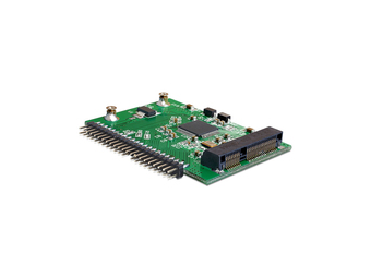Delock Converter mSATA > IDE - Speicher-Controller
