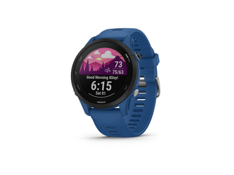 Garmin Forerunner 255 - 33 cm (1.3) - MIP - 4 GB - WLAN - GPS - 49 g