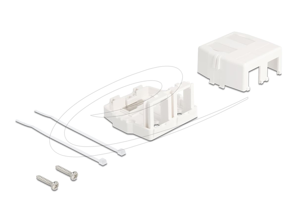 Delock Gehäuse mit modularen Einsätzen - Keystone-Oberfläche montierte Box