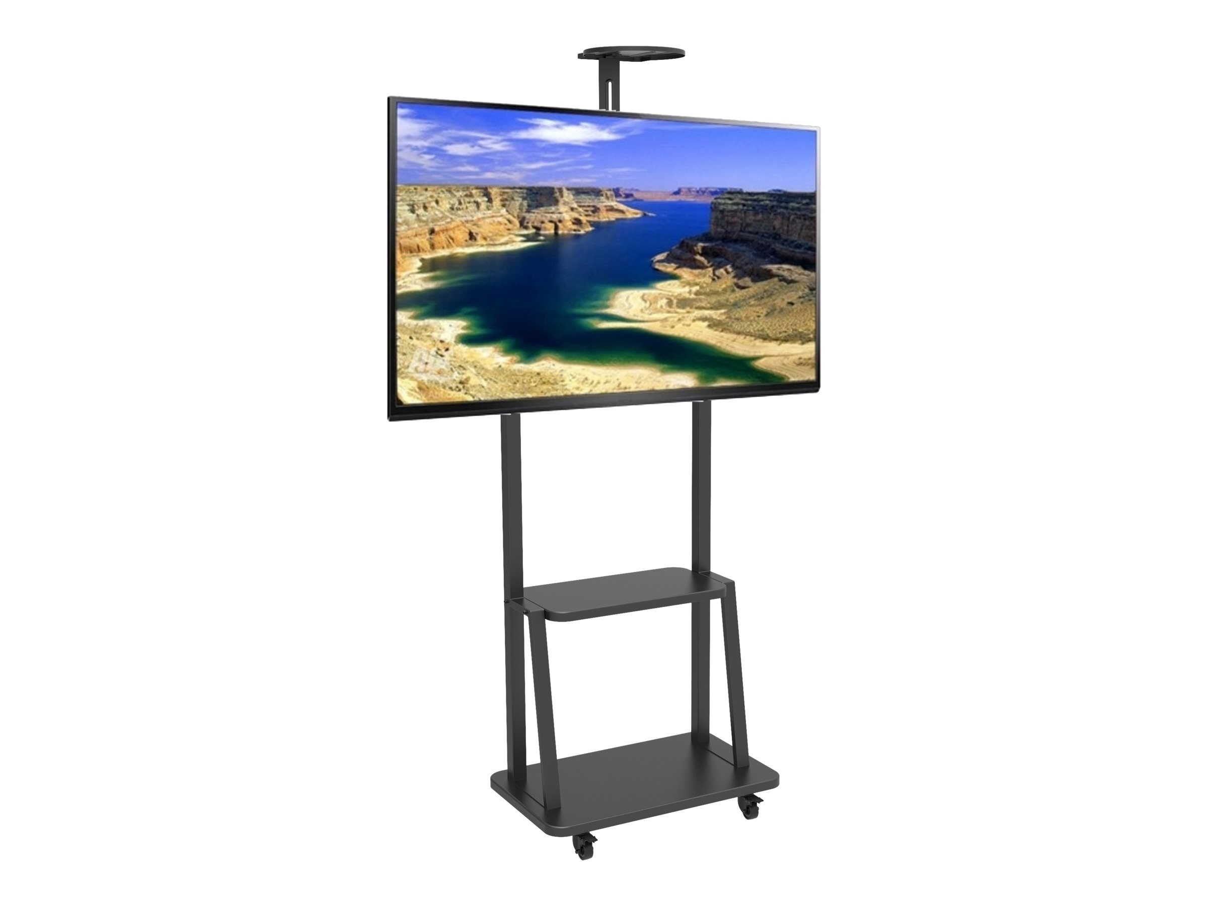 Techly Wagen - für LCD  AV-System  Kamera - Schwarz - Bildschirmgröße 81.3-177.8 cm (32"-70")