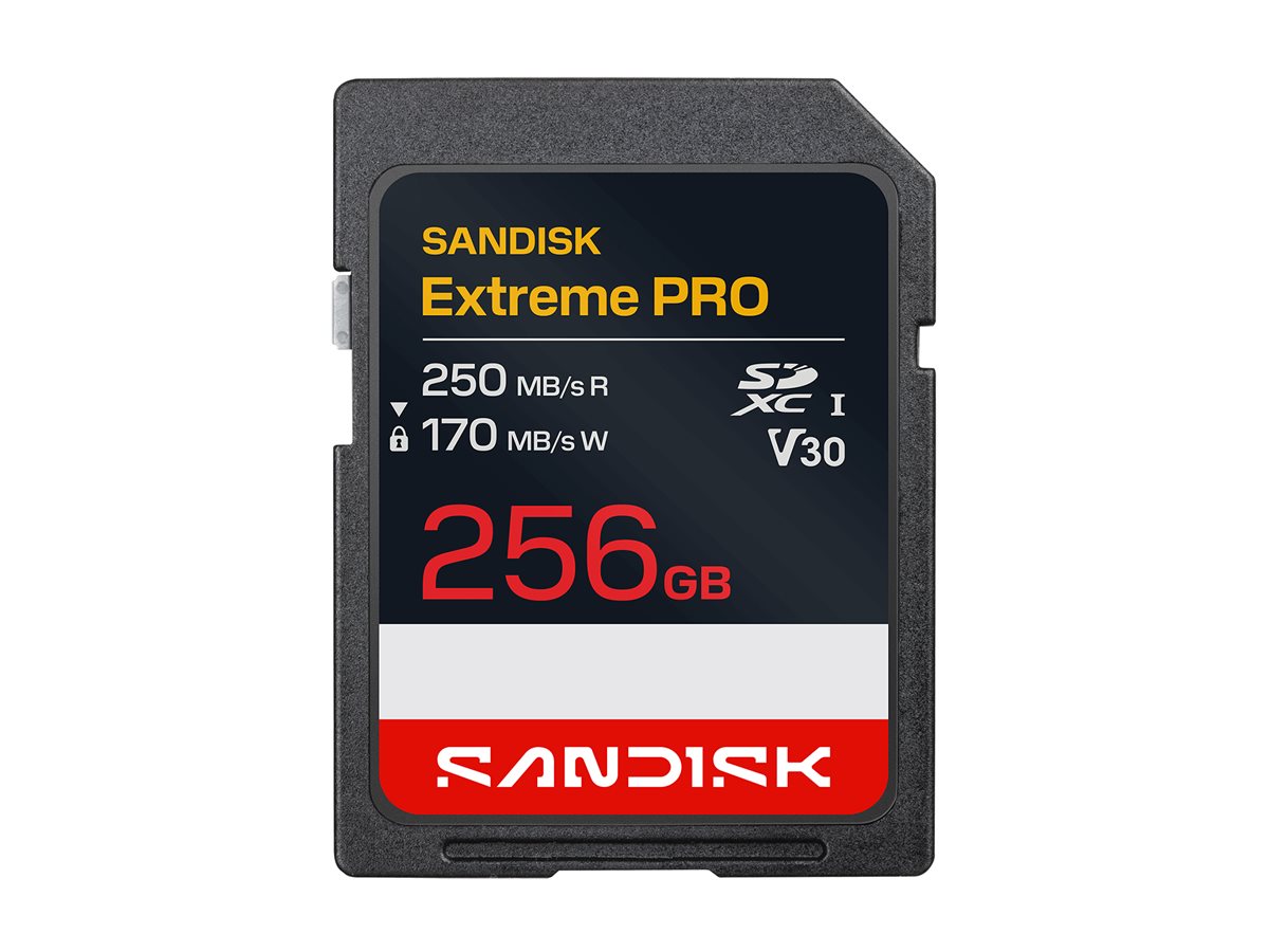 SanDisk Extreme PRO - Flash-Speicherkarte - 256