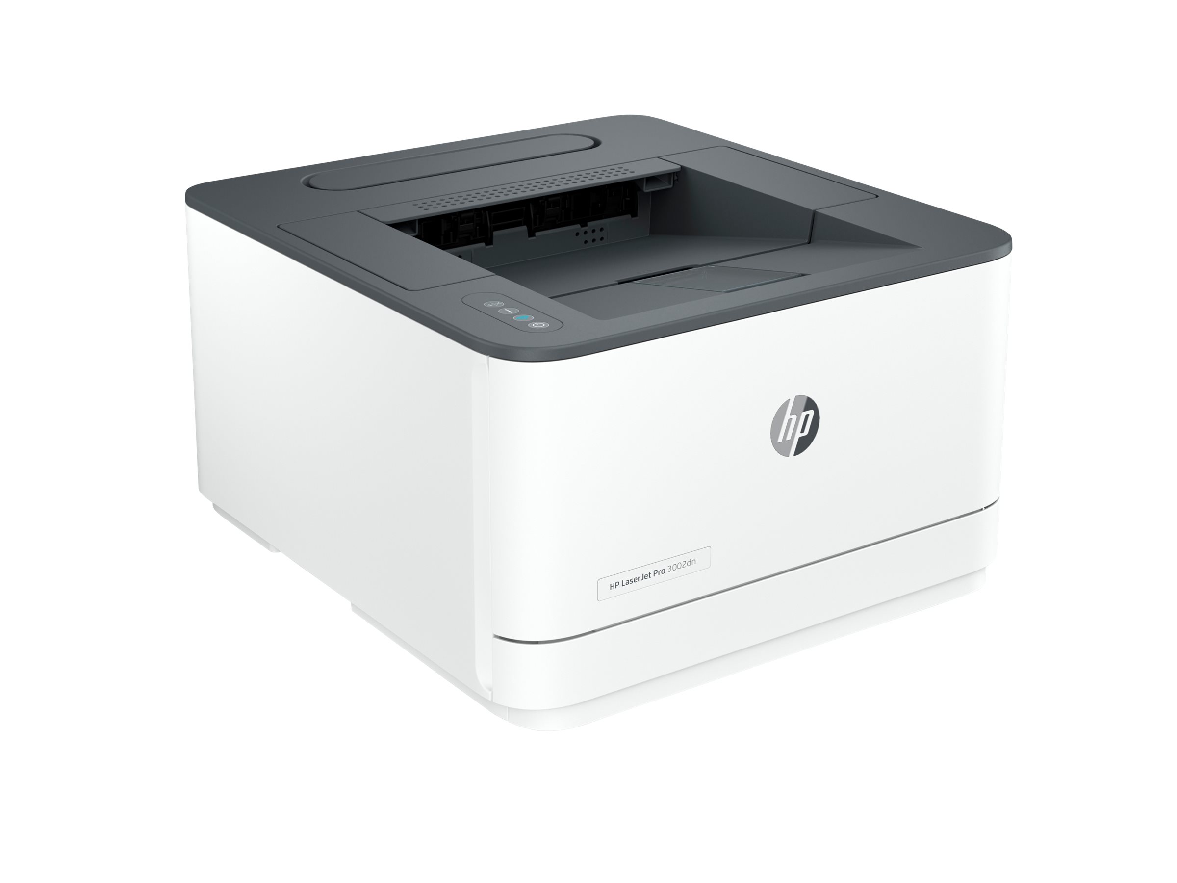 HP LaserJet Pro 3002dn - Drucker - sw - Duplex