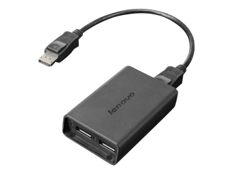 Lenovo DisplayPort-Adapter - DisplayPort (M)
