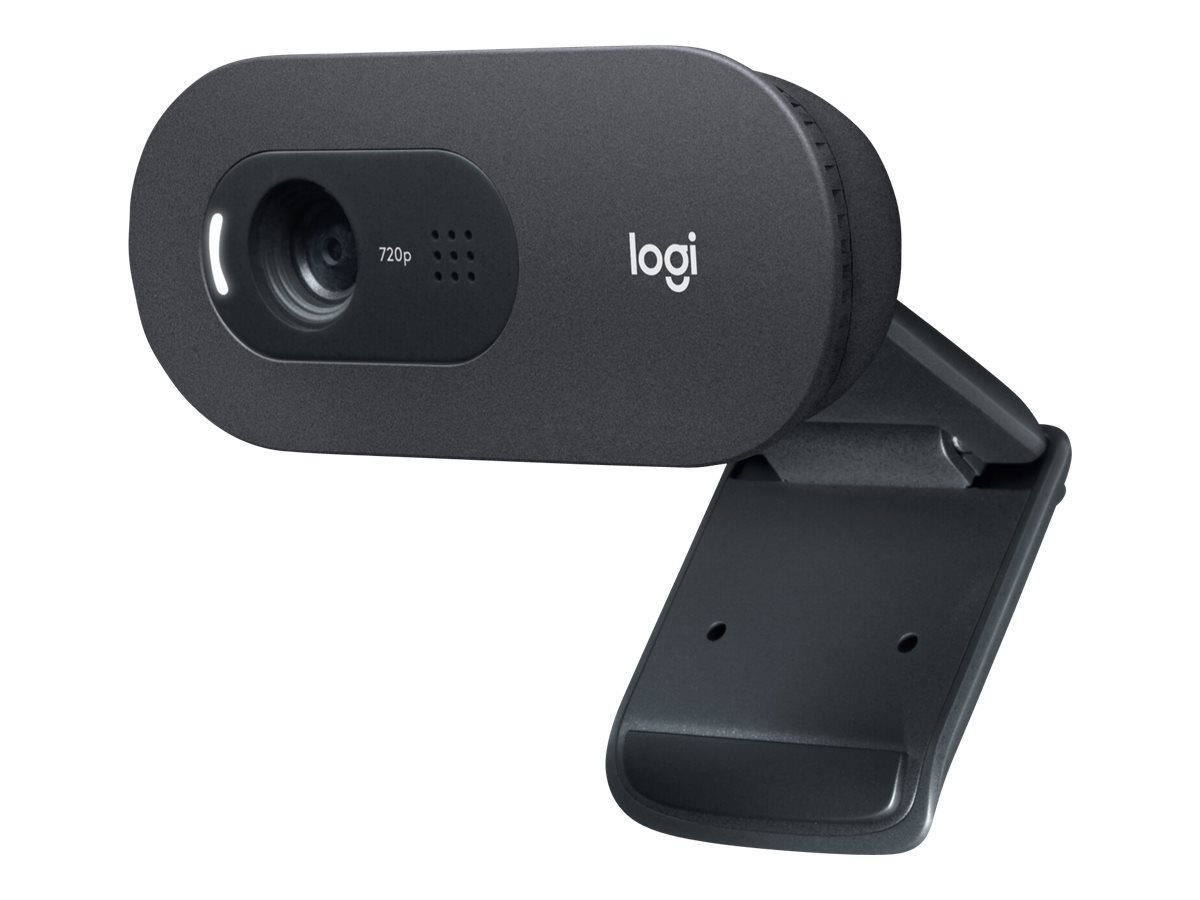 Logitech C505e - Webcam - Farbe - 720p - feste
