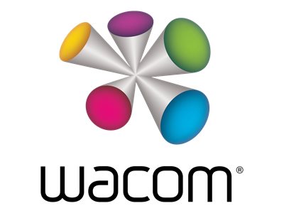 Wacom Intuos Pro Medium - Digitalisierer - rechts-