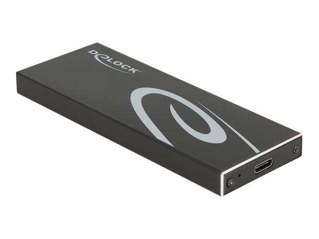 Delock Speichergehäuse - M.2 - M.2 Card  SATA 6Gbs - USB 3.2 (Gen 2)