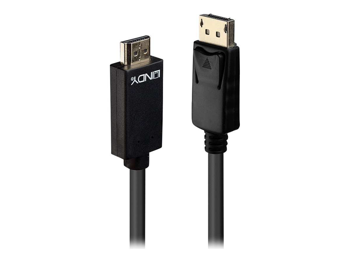 Lindy Video-  Audiokabel - DisplayPort (M)