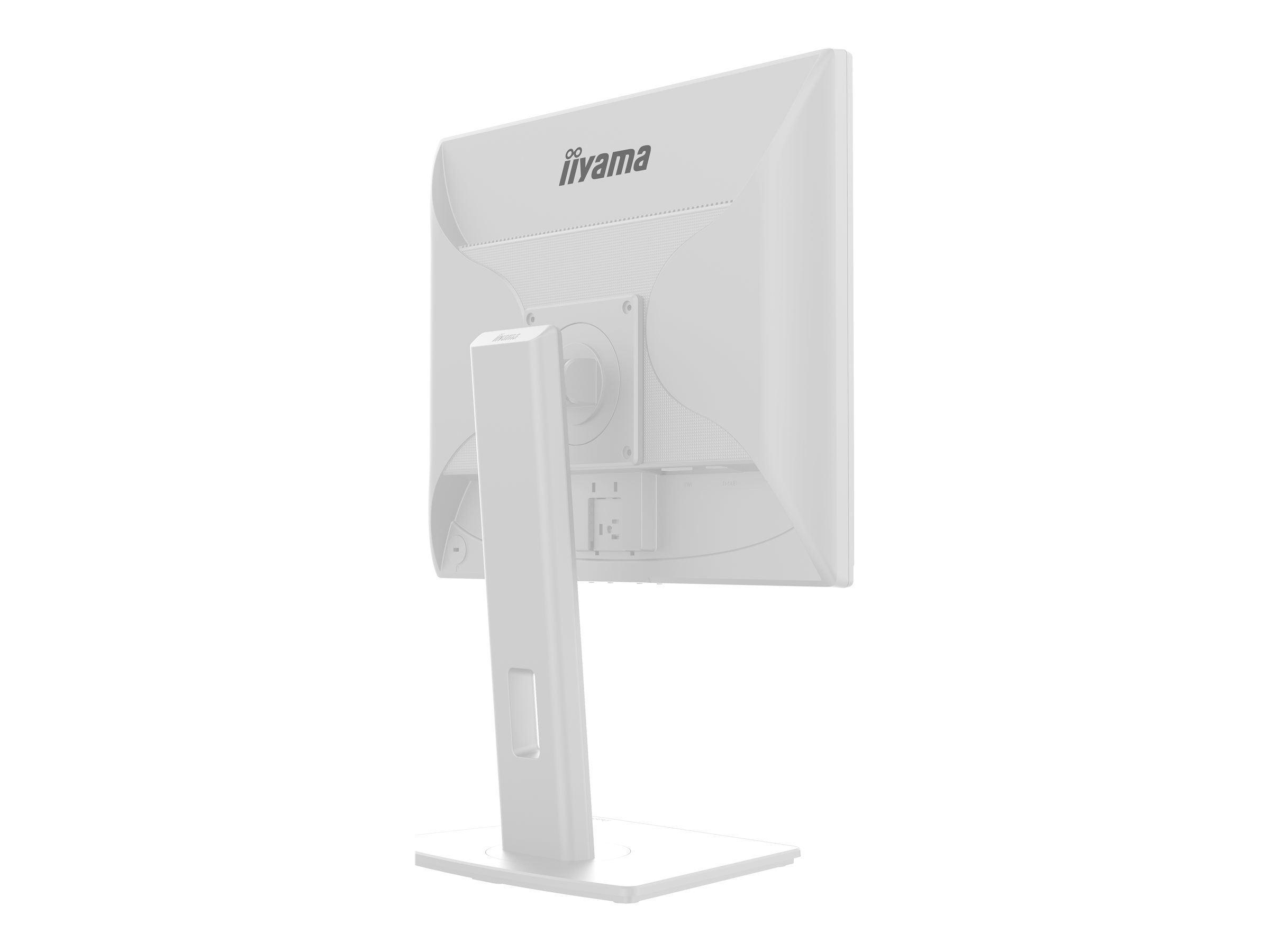 Iiyama ProLite B1980S-W1 - LED-Monitor - 48 cm (19")