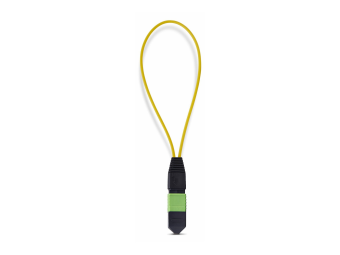 StarTech.com Startech - Loopback-Adapter - TAA-konform - MPO-12 Single-Mode (M)