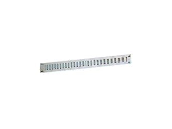 Rittal Rack-Vorderseite (belüftet) - 2U - 48.3 cm (19")