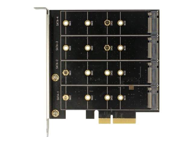 Delock Speichercontroller (RAID) - 4 SenderKanal