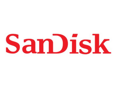 SanDisk Extreme Go - Flash-Speicherkarte - 256