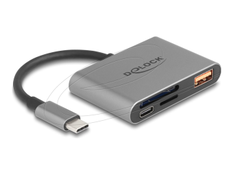 Delock Kartenleser (SD microSD) - USB-C