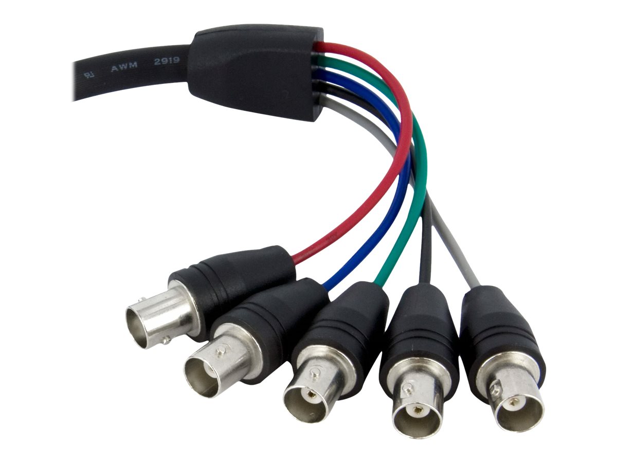 StarTech.com 30cm VGA HD 15 auf 5x BNC RGBHV Monitorkabel - StBu - VGA-Kabel - BNC (W)