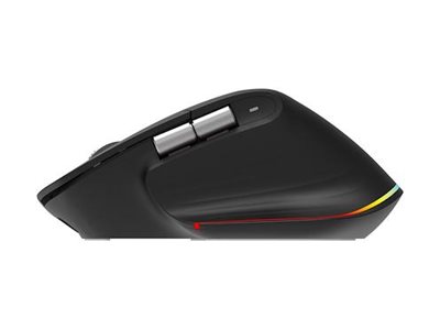 Acer Easy Fit - Maus - ergonomisch - optische LED - 6 Tasten - kabellos - 2.4 GHz, Bluetooth 5.0 - kabelloser Empfänger (USB)