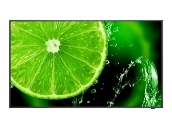 NEC MultiSync E328-2 - 80.1 cm (32") Diagonalklasse E Series LCD-Display mit LED-Hintergrundbeleuchtung