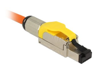 Delock Netzwerkanschluss - RJ-45 (M) - 6.6 cm