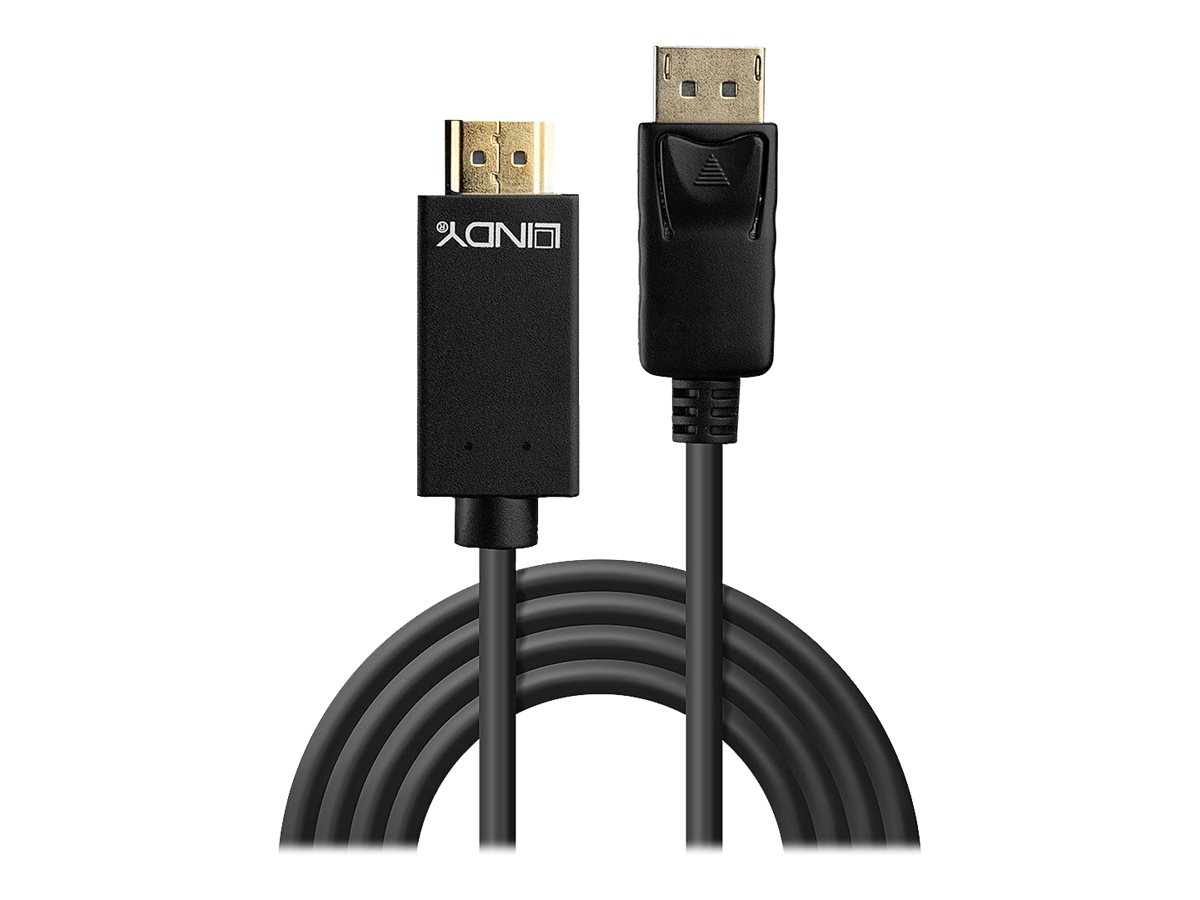 Lindy Video-  Audiokabel - DisplayPort (M)