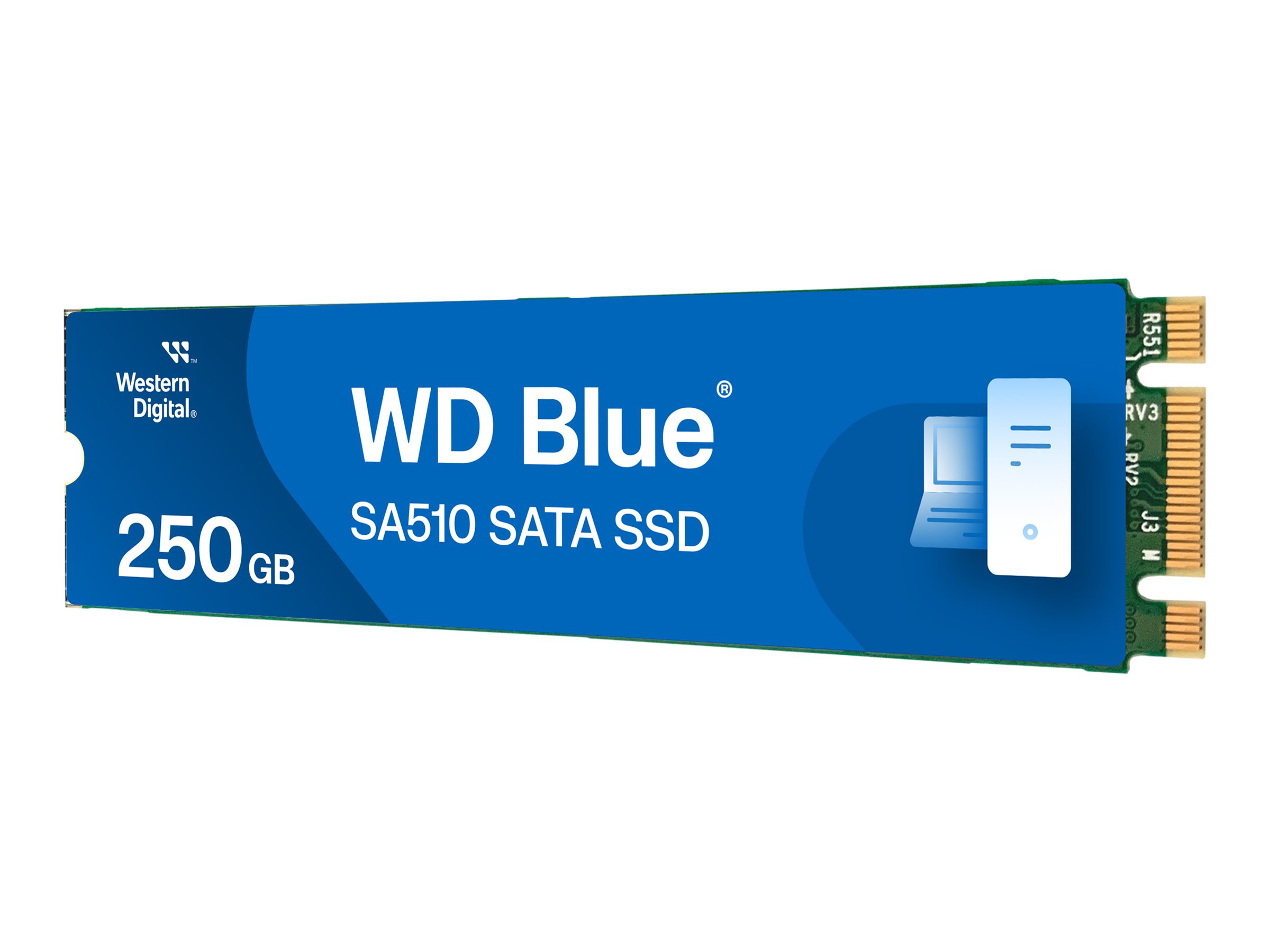 WD Blue SA510 WDS250G3B0B - SSD - 250 GB - intern