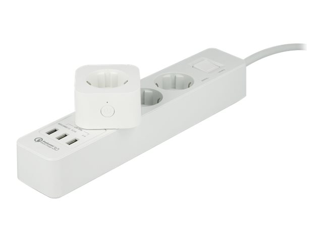 Delock Schaltersteckdose - kabellos - 802.11bgn