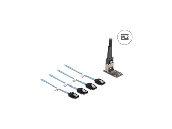 Delock m.2 2242 Key B+m Kontroller zu 4 x SATA mit 1m Kabel - Serial ATA