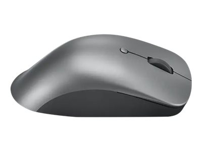 Lenovo Professional - Maus - ergonomisch - optisch blau