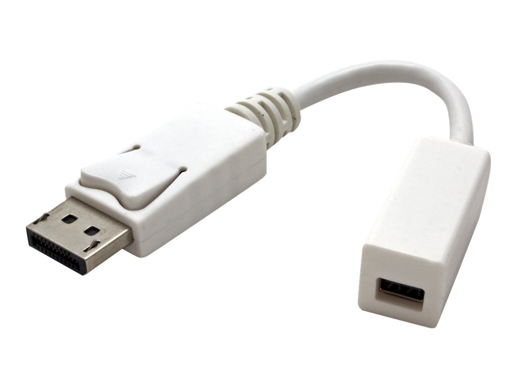 ROLINE DisplayPort-Adapter - Mini DisplayPort (W)