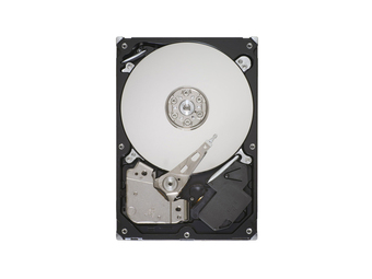 Lenovo Festplatte - 1 TB - intern - 3.5" (8.9 cm)