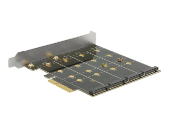 Delock Speichercontroller (RAID) - 4 SenderKanal