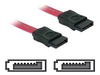 Delock SATA-Kabel - Serial ATA 150300 - SATA (W)