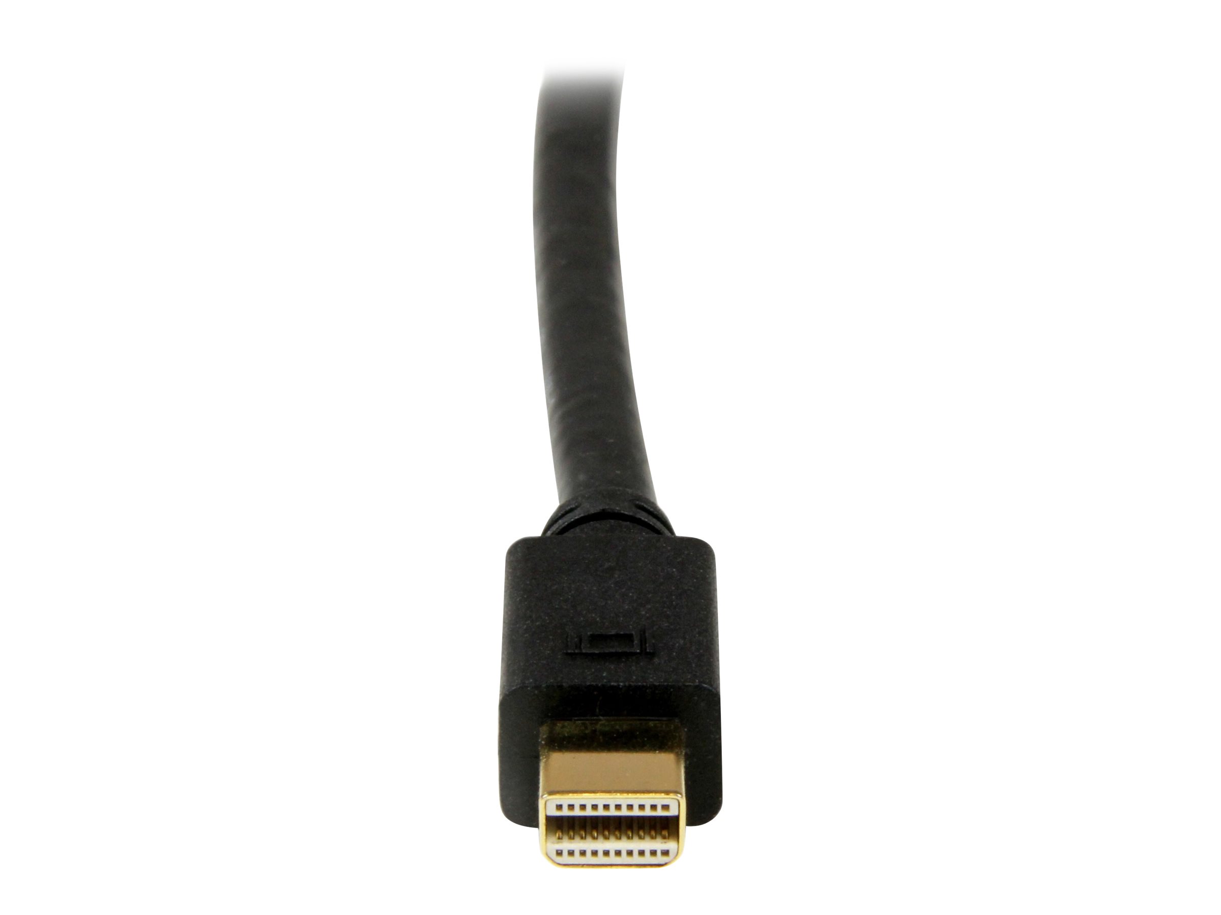 StarTech.com 3m Mini DisplayPort auf DVI Kabel (SteckerStecker)
