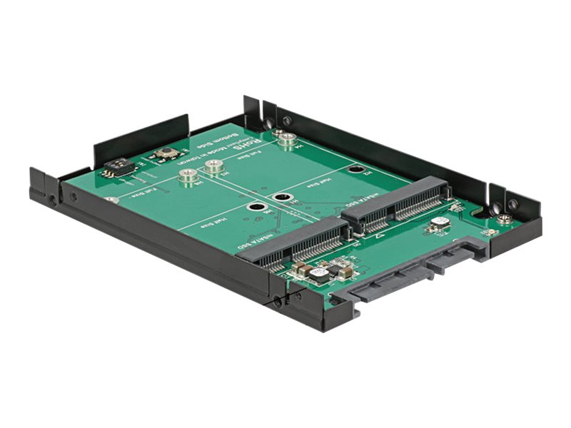 Delock Speichercontroller (RAID) - mSATA - mSATA