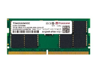 Transcend DDR5 - Modul - 16 GB - SO-DIMM 262-Pin