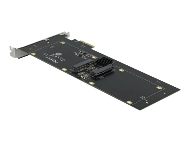 Delock Speichercontroller (RAID) - 4 SenderKanal