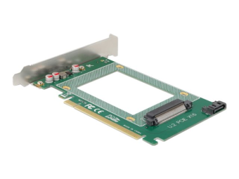 Delock Speicher-Controller - 2.5 (6.4 cm)