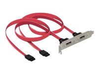 Delock SATA-Blende internextern - SATA (W)