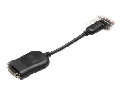 HP  DVI-Adapter - DisplayPort (M) zu DVI-D (W)