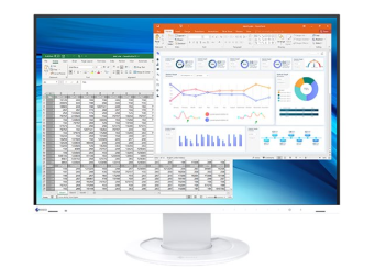 EIZO FlexScan EV2410R-WT - Mit FlexStand - LED-Monitor - 61.2 cm (24.1")