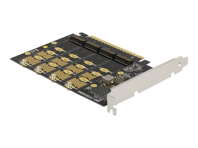 Delock Speicher-Controller - M.2 - M.2 NVMe